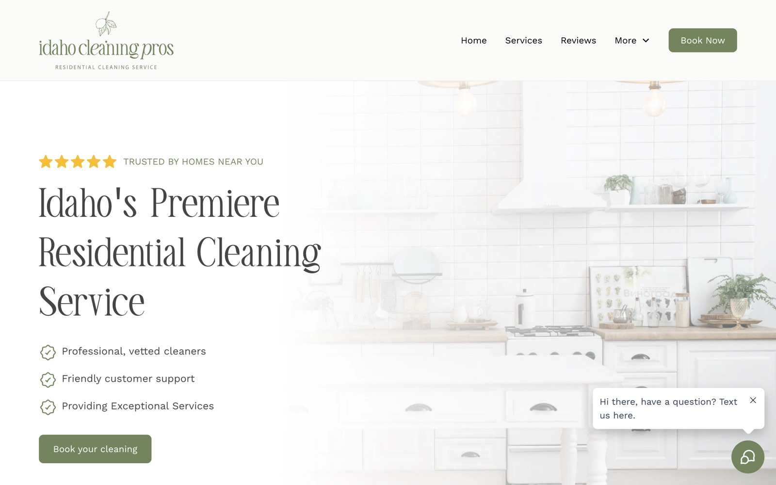 Idaho Cleaning Pros website homepage